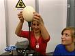 ce_galileo051028_13.jpg