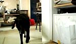 ce_vollekanne_100715_062.jpg