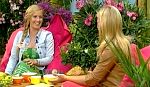 ce_vollekanne_100715_085.jpg