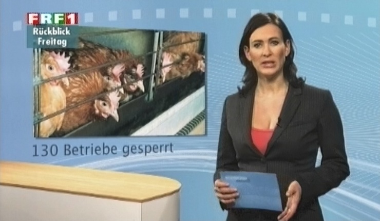 em_niedersachsen_aktuell_110204_014.jpg