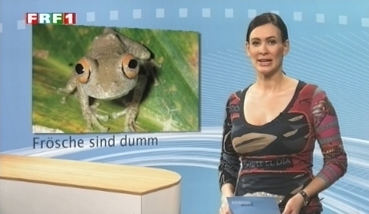 em_niedersachsen_aktuell_110210_017.jpg