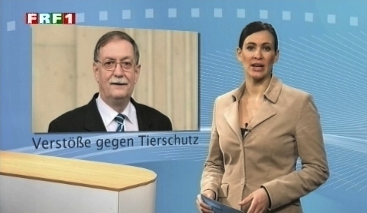 em_niedersachsen_aktuell_110214_004.jpg