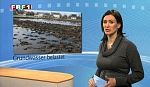 em_niedersachsen_aktuell_110308_011.jpg