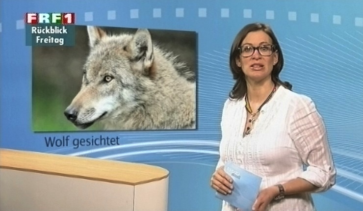 em_niedersachsen_aktuell_110408_009.jpg