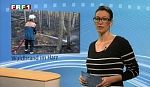 em_niedersachsen_aktuell_110412_004.jpg