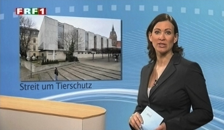 em_niedersachsen_aktuell_110413_008.jpg