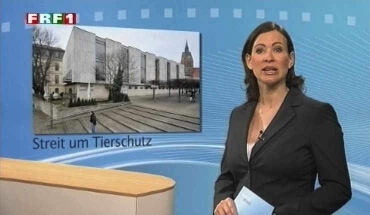 em_niedersachsen_aktuell_110413_011.jpg
