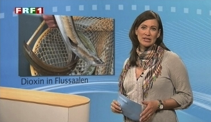 em_niedersachsen_aktuell_110503_010.jpg