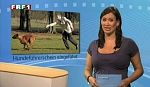 em_niedersachsen_aktuell_110526_002.jpg