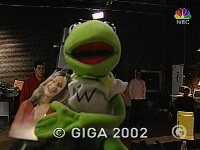 mirikermit0212051.jpg
