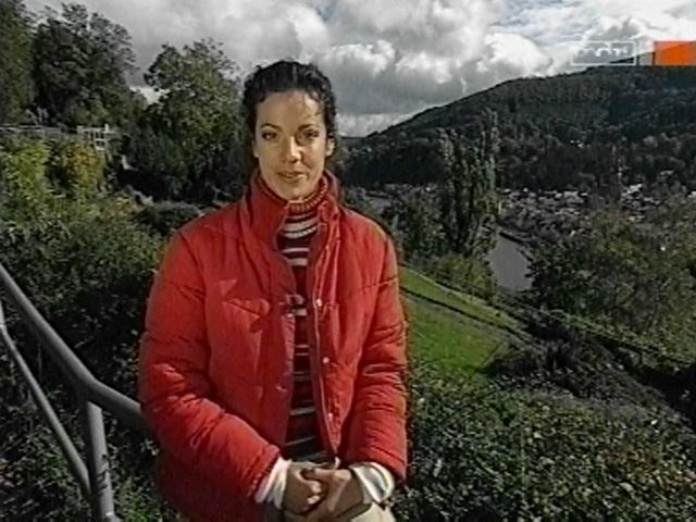 vd_gutereisetv041106_02.jpg