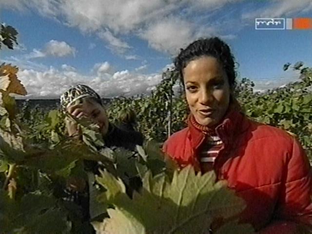 vd_gutereisetv041106_06.jpg