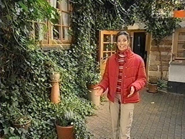vd_gutereisetv041106_12.jpg
