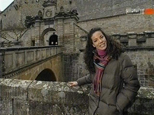 vd_gutereisetv041204_09.jpg