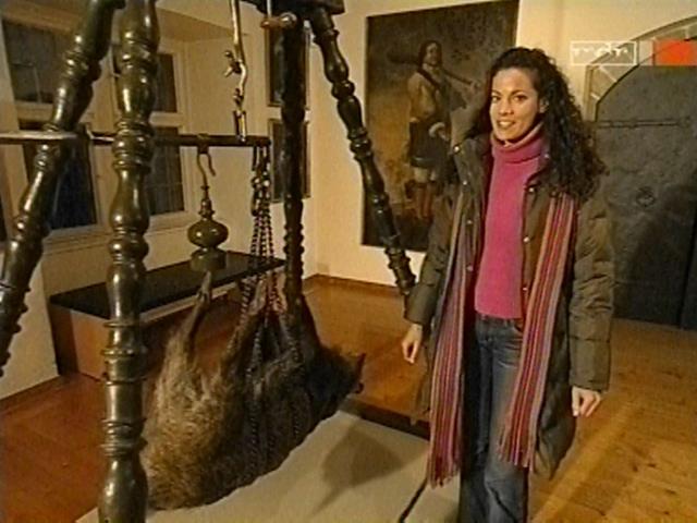 vd_gutereisetv041204_10.jpg
