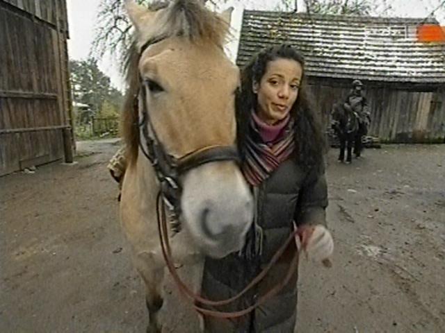 vd_gutereisetv041204_18.jpg