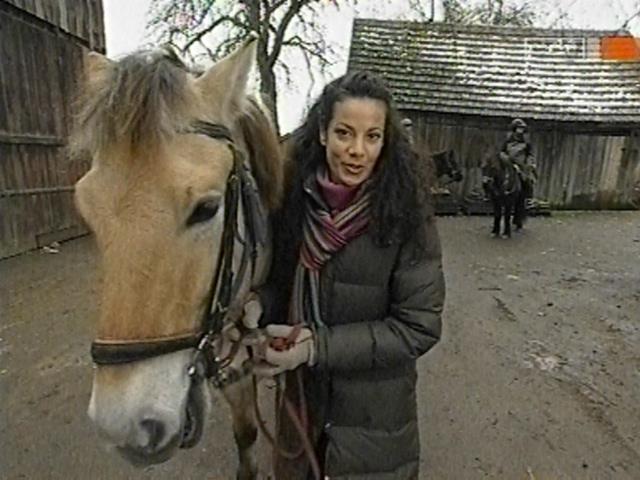 vd_gutereisetv041204_19.jpg