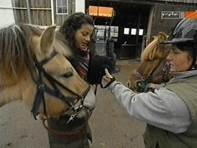 vd_gutereisetv041204_21.jpg