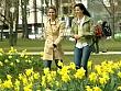 vb_allestester_080426_003.jpg