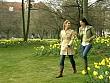 vb_allestester_080426_006.jpg