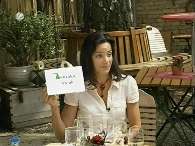 vb_allestester_080628_013.jpg