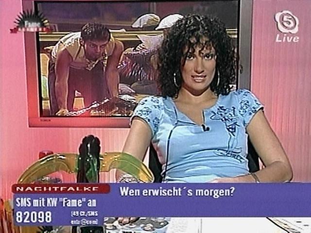 nachtfalke031004_05.jpg